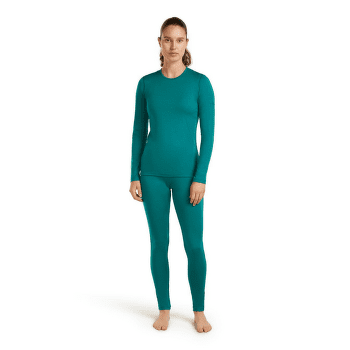 Leggings Icebreaker Oasis Leggings Women (104383) Black001