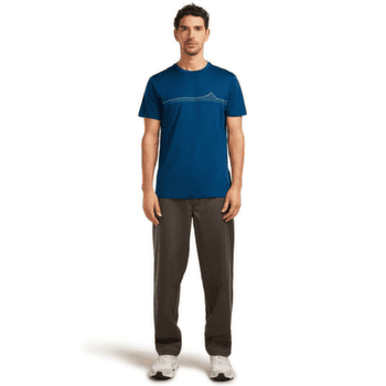 T-shirt a manches courtes Icebreaker Merino 150 Tech Lite SS Tee Range Stripes Men ATLANTIS