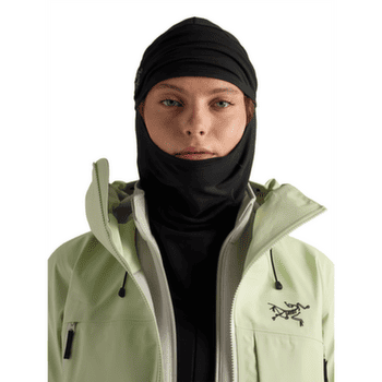 Capuche Arcteryx Rho Balaclava Black