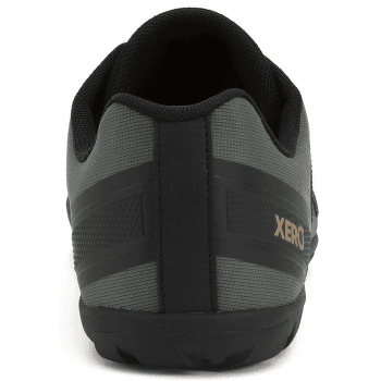 Chaussures Xero Mesa Trail II Men Forest
