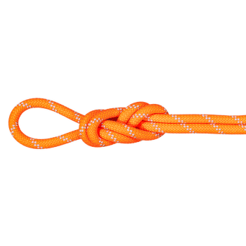 Corde Mammut 9.5 Alpine Dry Dry Standard 11256