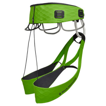 Siege Black Diamond RECCO VISION AIRNET Envy Green