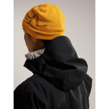 Casquettes Arcteryx Bird Head Toque Mantis / Arctic Silk