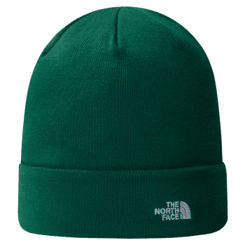 Casquettes The North Face NORM BEANIE EVERGREEN