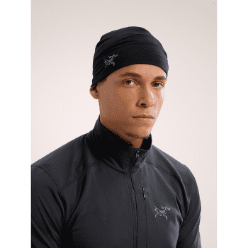 Casquettes Arcteryx Rho Toque Black