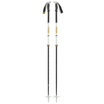 Trou Black Diamond TRAVERSE PRO SKI POLES Foam Green