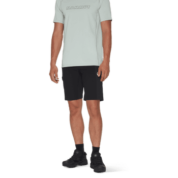 Shorts Mammut Ducan Shorts Men marine-tschiel