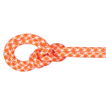 Corde Mammut 9.5 Crag Classic Rope Vibrant orange-white 2237