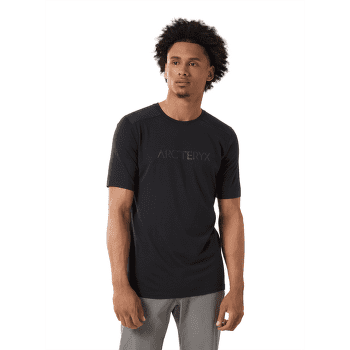 T-shirt a manches courtes Arcteryx Ionia Merino Wool Arc´Word Logo SS Men Soulsonic / Electra