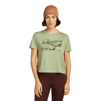 Casquettes Icebreaker Merino All Day Toque Beanie GRITSTONE HTHR-013