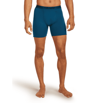 Caleçons Icebreaker Anatomica Long Boxers Men Black