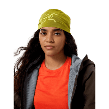 Casquettes Arcteryx Satoro Merino Toque Mantis