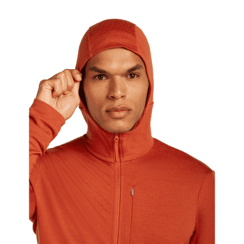 Sweat-shirt Icebreaker Merino 260 Quantum IV LS Zip Hoodie Men ATLANTIS