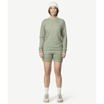 T-shirt a manches longues Devold Everyday Crew Women FOG