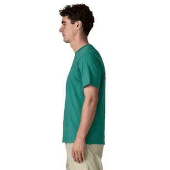T-shirt a manches courtes Patagonia P-6 Logo T-Shirt Men Undyed Natural