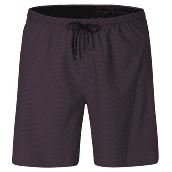 Shorts Direct Alpine Sprint Shorts Men anthracite