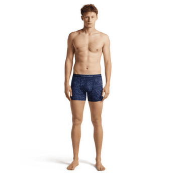 Caleçons Icebreaker Merino 150 Anatomica Boxers Moss Bloom Men MIDNIGHT NAVY/AOP