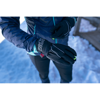Gants Direct Alpine Express Plus Glove black