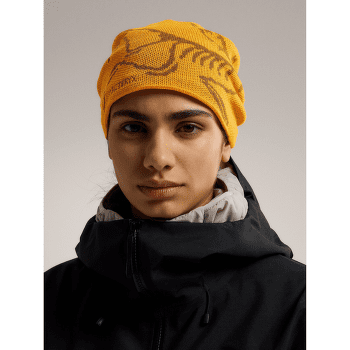 Casquettes Arcteryx Bird Head Toque Mantis / Arctic Silk