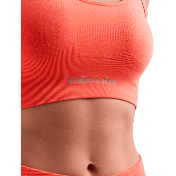 Brassiere Icebreaker Merino Seamless Active Bra Women BLACK