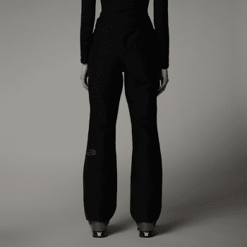 Pantalons The North Face DESCENDIT PANT Women TNF BLACK
