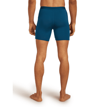 Caleçons Icebreaker Anatomica Long Boxers Men Black