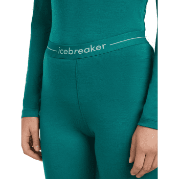 Leggings Icebreaker Oasis Leggings Women (104383) Black001