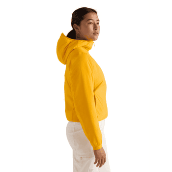 Veste Arcteryx Atom Hoody Women Pineberry