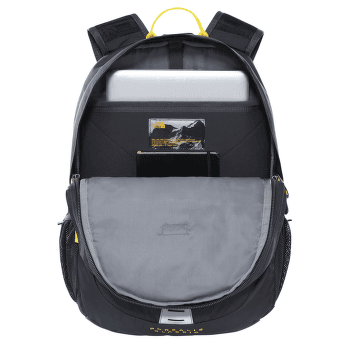 Sac a dos The North Face Borealis Classic DIW WOODLAND GREEN/TNF BLACK