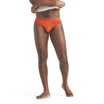 Caleçons Icebreaker Anatomica Briefs Men (103031) Black/Monsoon