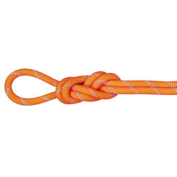 Corde Mammut 9.5 Alpine Dry Dry Standard 11256