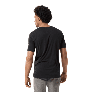 T-shirt a manches courtes Arcteryx Ionia Merino Wool Arc´Word Logo SS Men Soulsonic / Electra