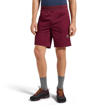 Shorts La Sportiva ROOTS SHORTS Men Cypress/Night Sky