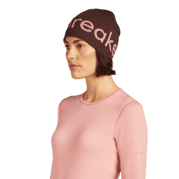 Casquettes Icebreaker Merino Icebreaker Beanie CEDAR WOOD/ECRU HTHR