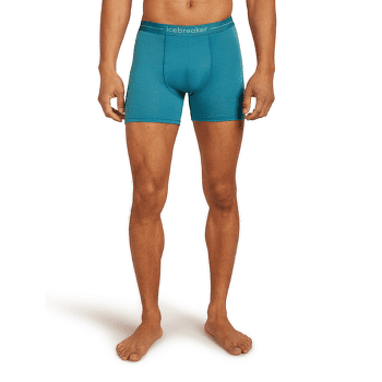 Caleçons Icebreaker Anatomica Boxer Men LICHEN/DK LODEN/S