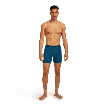 Caleçons Icebreaker Anatomica Long Boxers Men Black