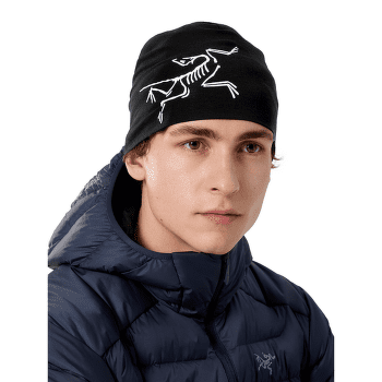 Casquettes Arcteryx Satoro Merino Toque Mantis