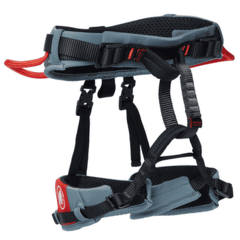 Siege Mammut Ophir Kids 2.0 alpine calamint-mammut red