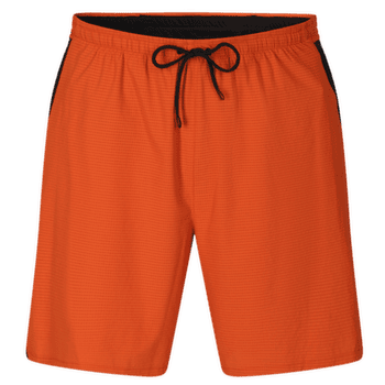 Shorts Direct Alpine Sprint Shorts Men cinnamon