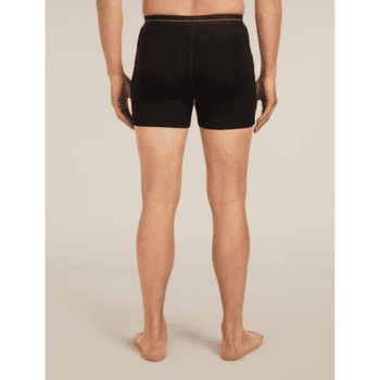 Caleçons Icebreaker Merino 150 Anatomica Boxers Men BLACK