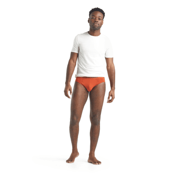 Caleçons Icebreaker Anatomica Briefs Men (103031) Black/Monsoon