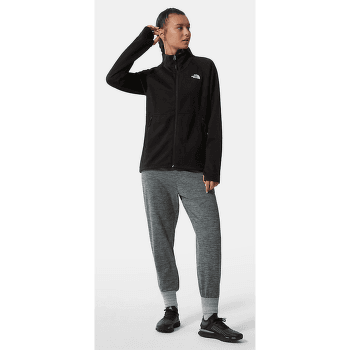 Veste Patagonia Fitz Roy Down Hoody Men Black