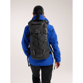 Sac a dos Arcteryx Alpha FL 20 Dynasty