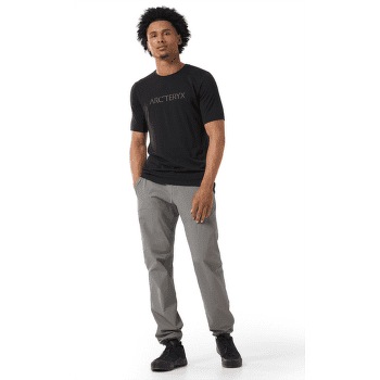 T-shirt a manches courtes Arcteryx Ionia Merino Wool Arc´Word Logo SS Men Soulsonic / Electra