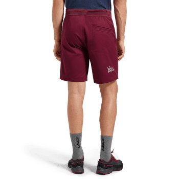 Shorts La Sportiva ROOTS SHORTS Men Cypress/Night Sky