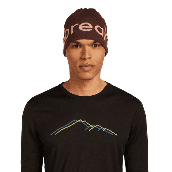 Casquettes Icebreaker Merino Icebreaker Beanie CEDAR WOOD/ECRU HTHR