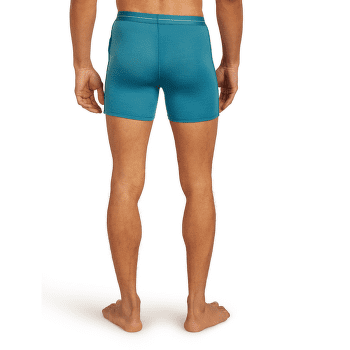 Caleçons Icebreaker Anatomica Boxer Men LICHEN/DK LODEN/S