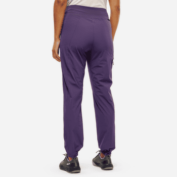 Pantalons Millet CIMAI POLY PT Women PURPLE VELVET