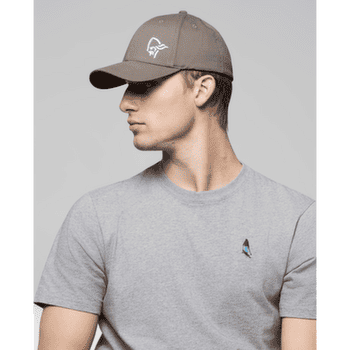 Casquette de baseball Norrona /29 Flexfit Cap Pale Grey