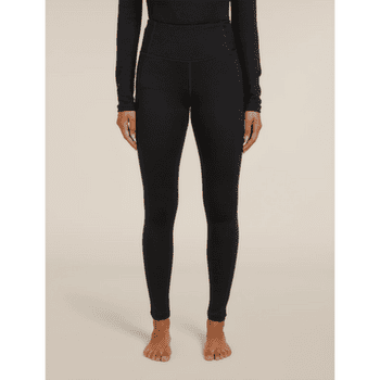 Leggings Icebreaker Merino 260 Tech High Rise Leggings Women Black